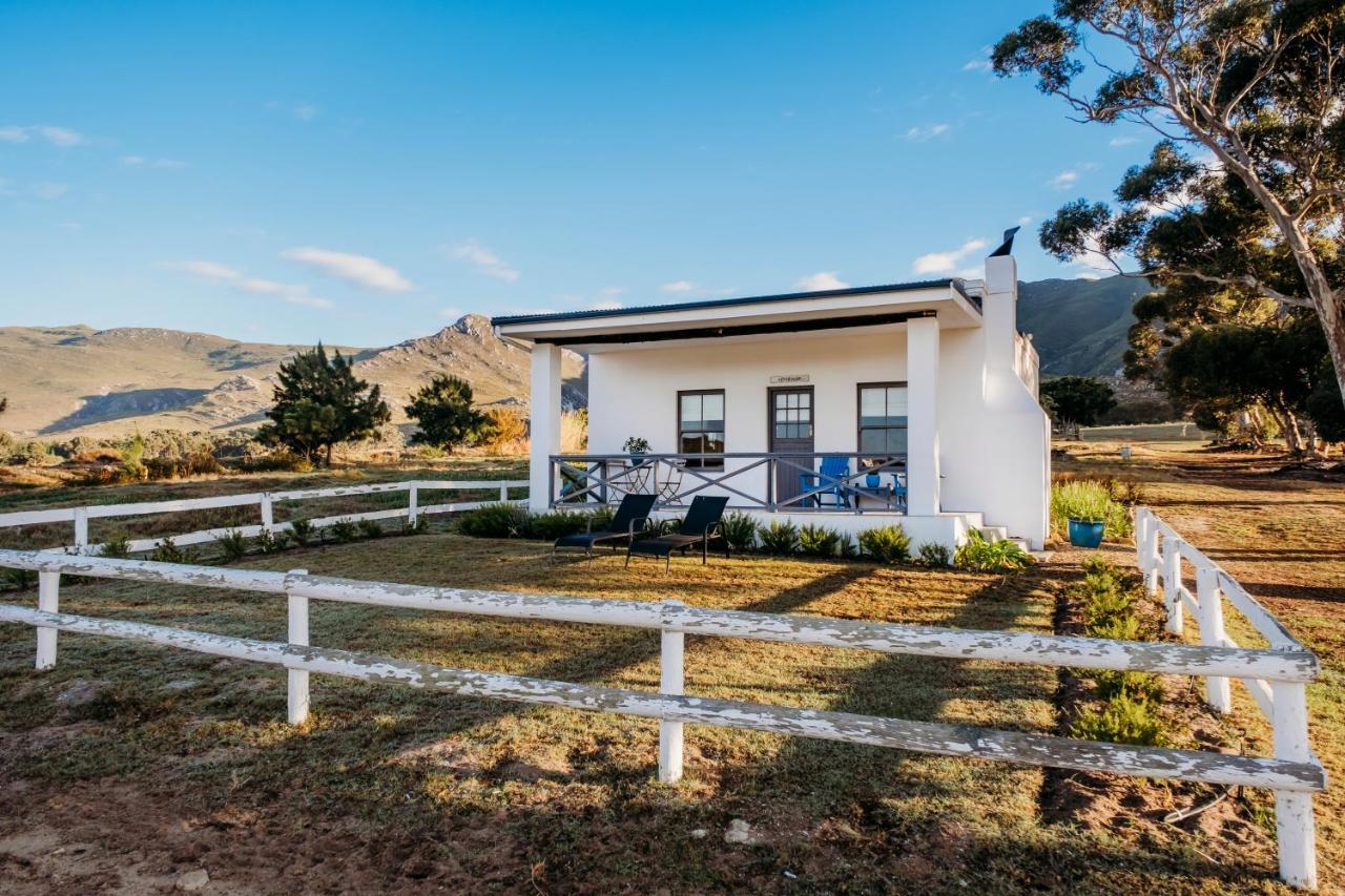 White Water Farm Guest House Stanford Ngoại thất bức ảnh